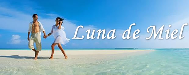 activación Gran cantidad conveniencia Paquete de Luna de Miel a Punta Cana Hotel Todo Incluido-hoteles