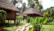 Iquitos Selva