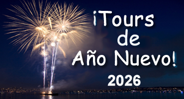Paquete Año Nuevo