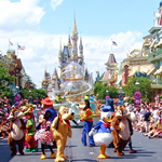 Paquete a Orlando