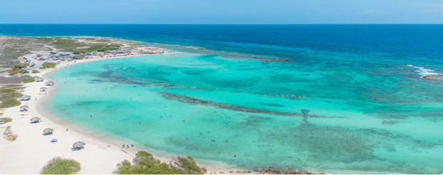 Baby Beach Aruba snorkel