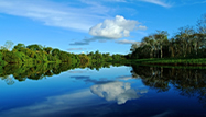 Iquitos Selva