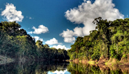 Iquitos Selva 